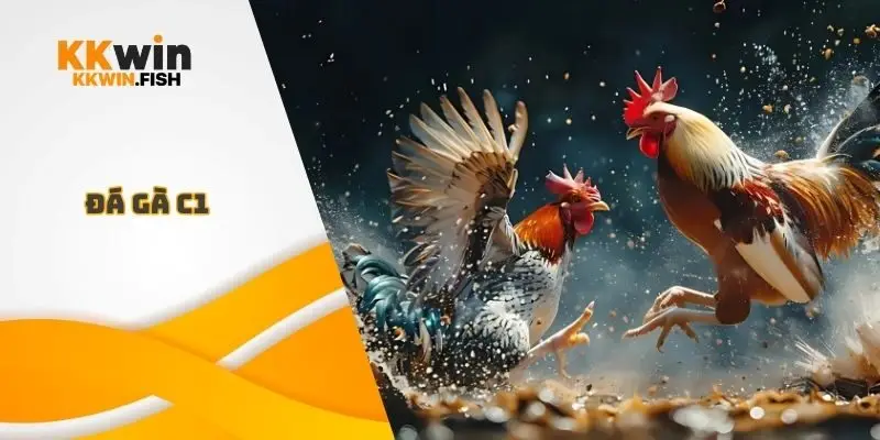 Đá Gà C1