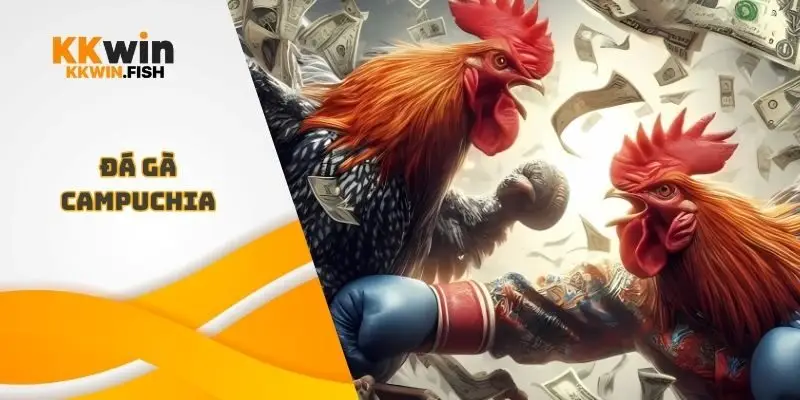 Đá gà Campuchia