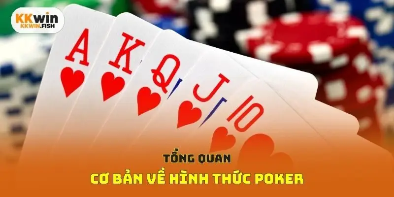 Tổng quan cơ bản về hình thức Poker